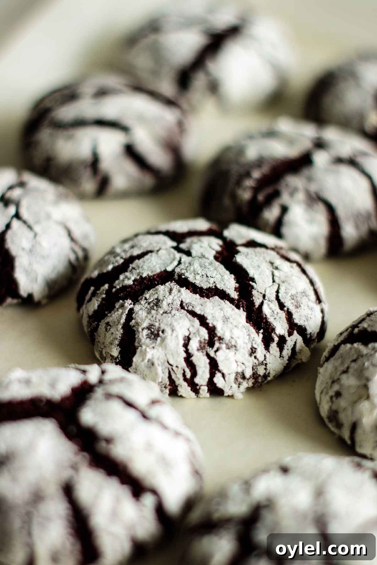 Chocolate crinkle cookies in a baking pan.