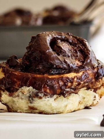 Nutella cinnamon roll, close up.