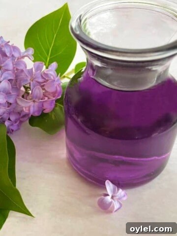 lilac syrup in a bottle and fresh lilac flowers