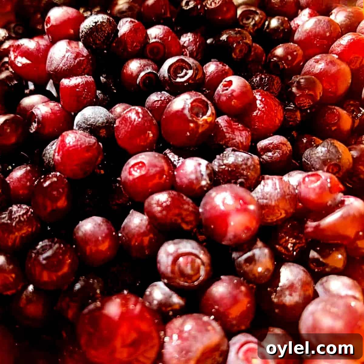 freshly picked and washed huckleberries.