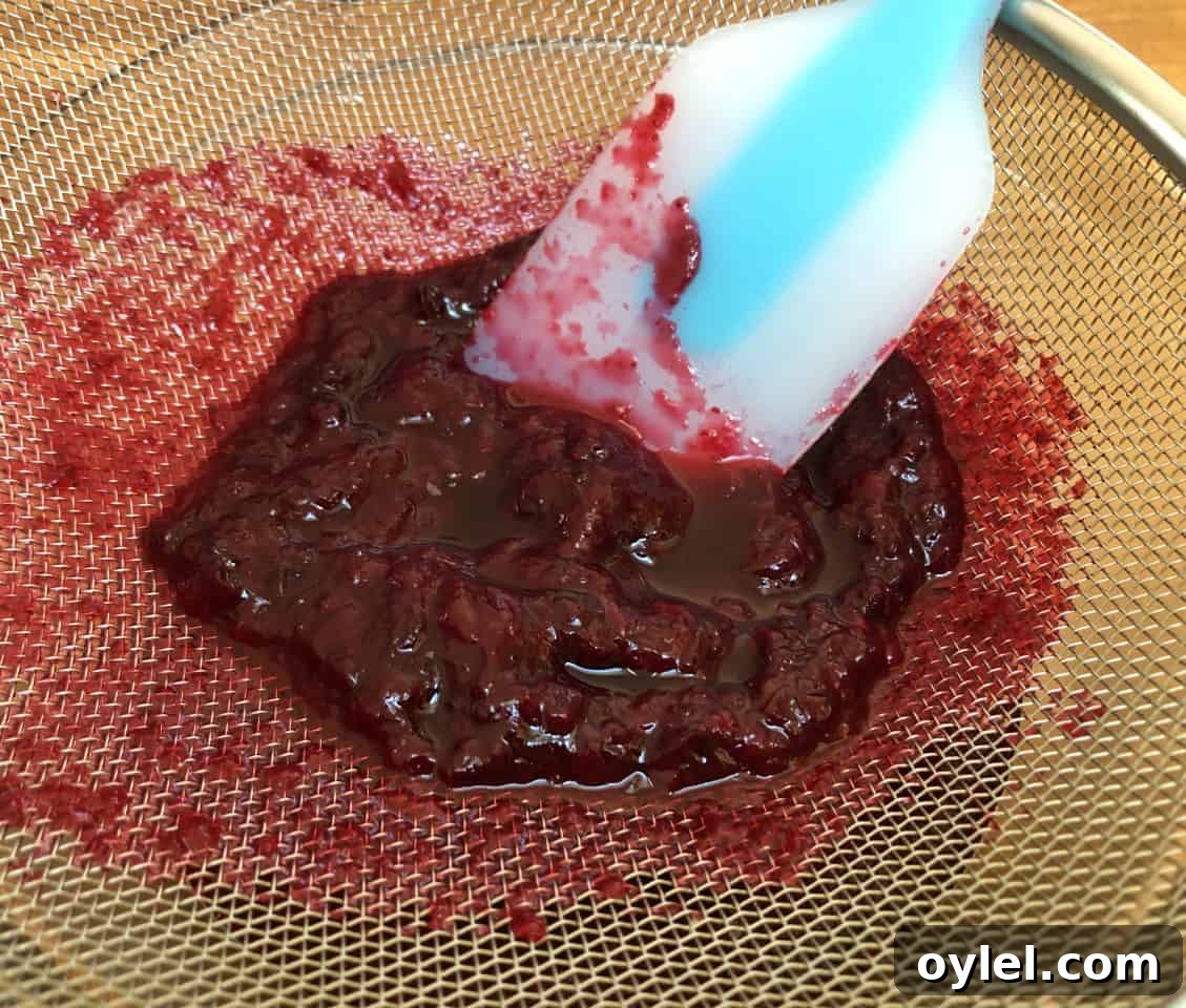 huckleberry syrup through fine mesh sieve.