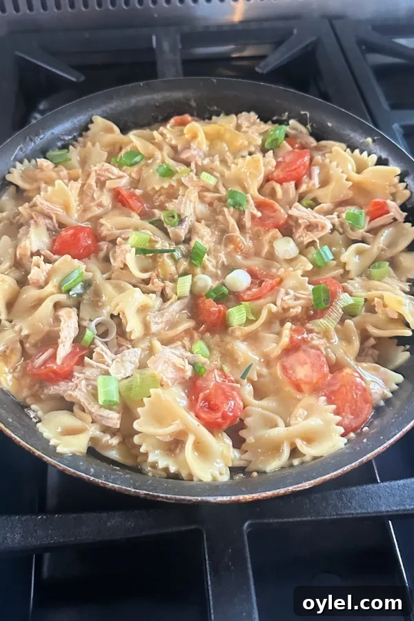 Cheesy Barbecue Chicken Skillet Recipe 5 barbecue chicken and cheese skillet dinner