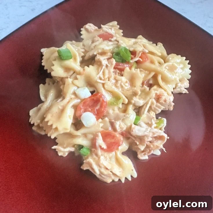 Cheesy Barbecue Chicken Skillet Recipe 6 barbecue chicken and cheese pasta dinner on plate