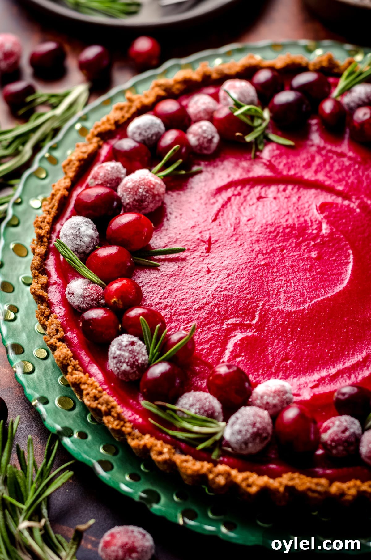 Silky Cranberry Curd Tart Recipe with Buttery Crust 9 A tart filled with cranberry curd and decorated with sugared cranberries.