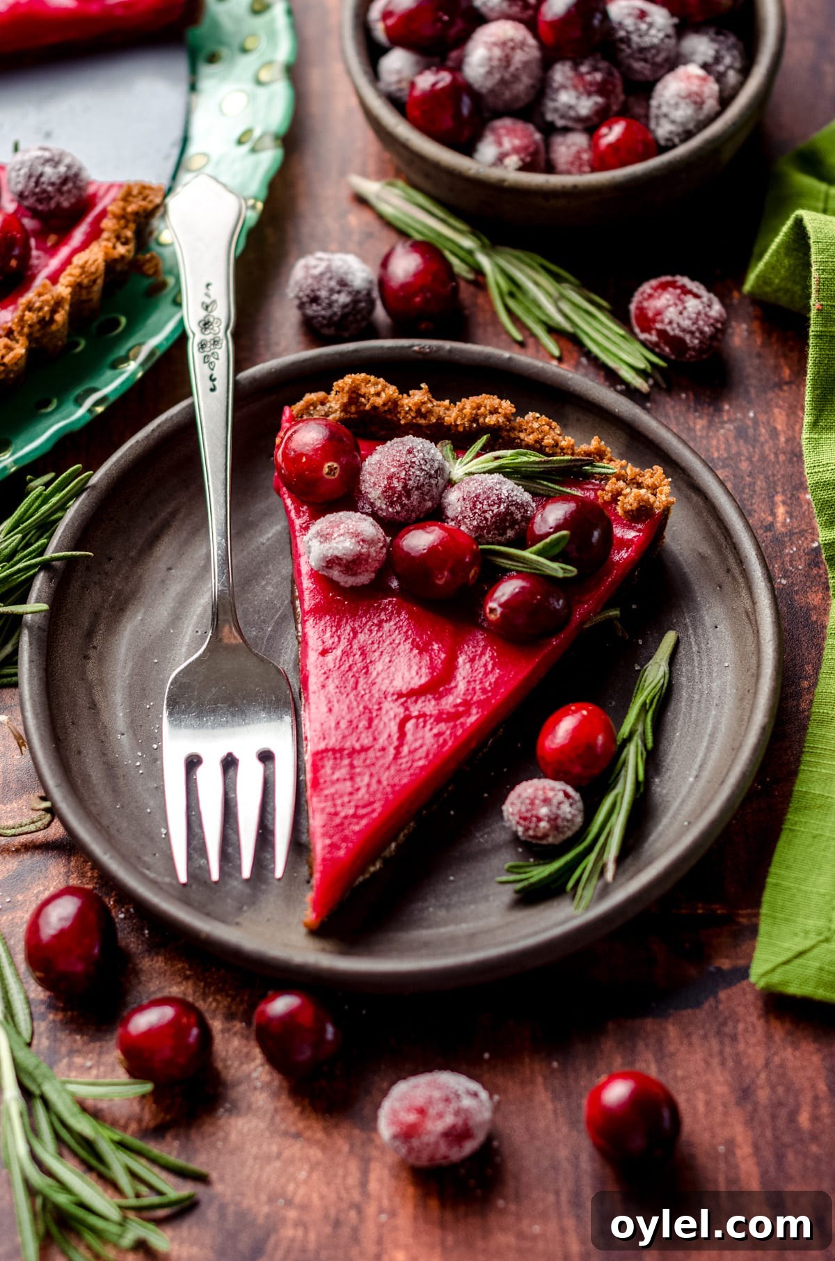 Silky Cranberry Curd Tart Recipe with Buttery Crust 11 A slice of cranberry tart garnished with sugared cranberries.
