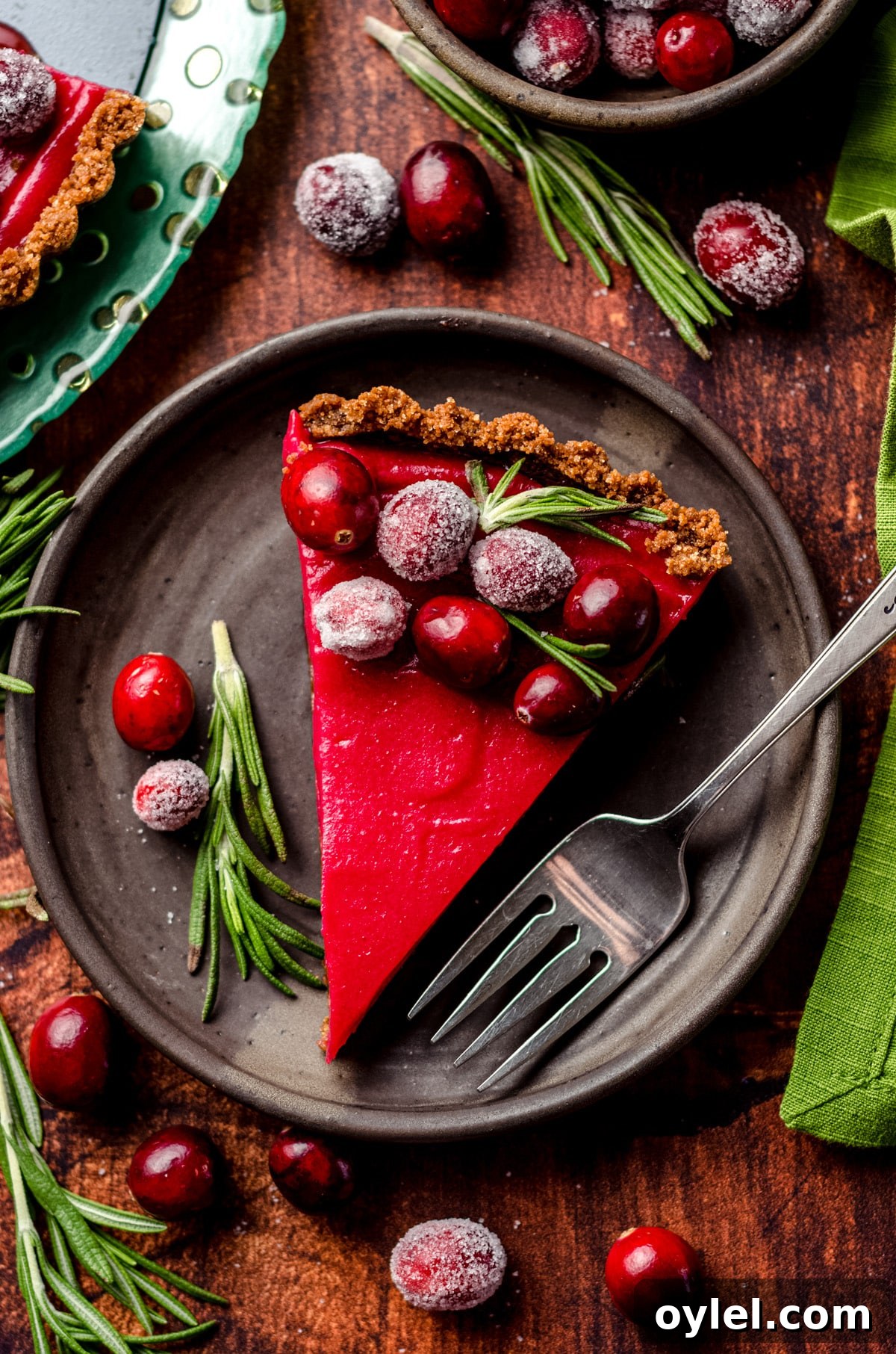 Silky Cranberry Curd Tart Recipe with Buttery Crust 3 A slice of cranberry tart with sugared cranberries.