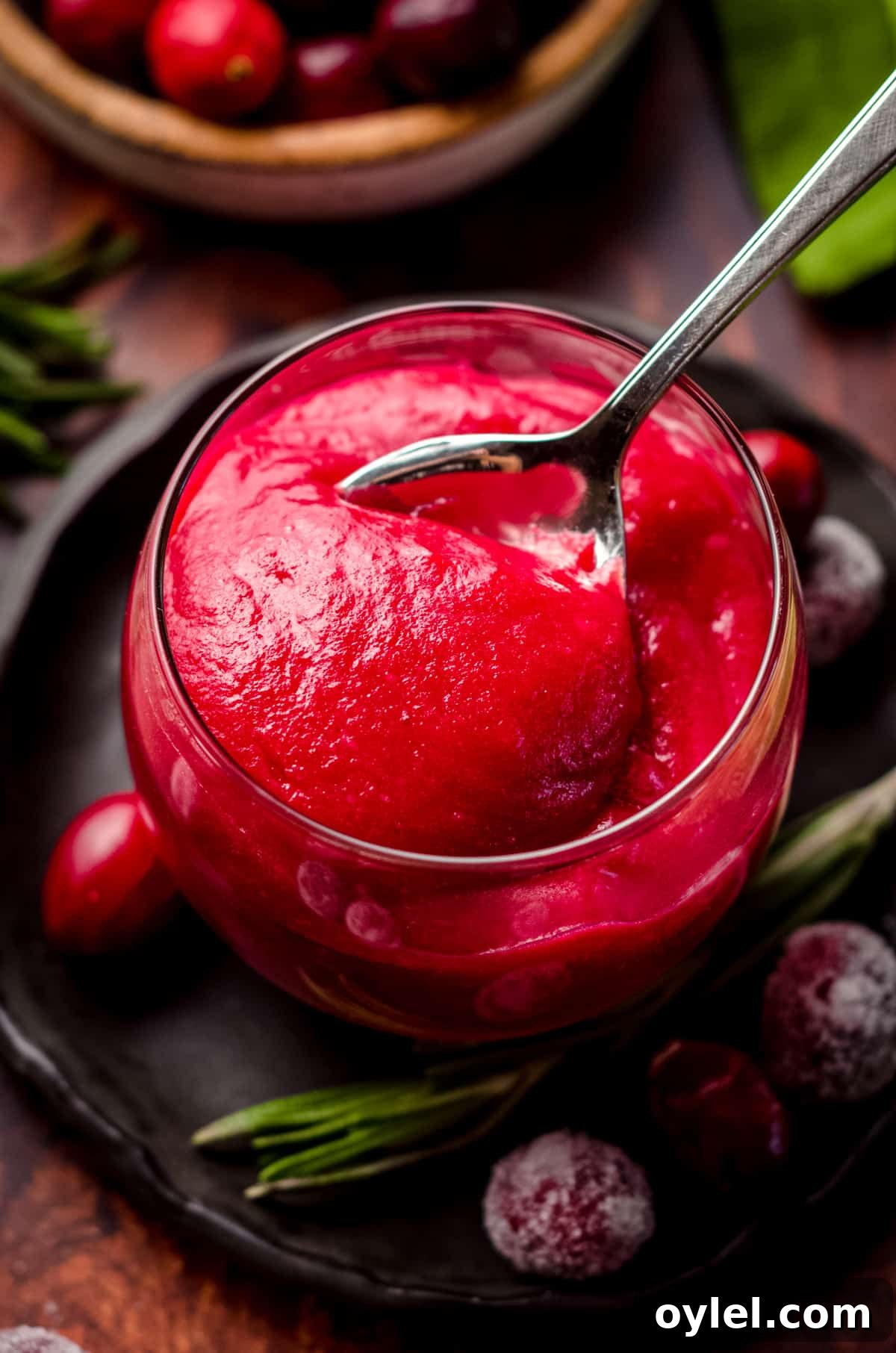 Silky Cranberry Curd Tart Recipe with Buttery Crust 4 a spoon scooping out cranberry curd from a jar