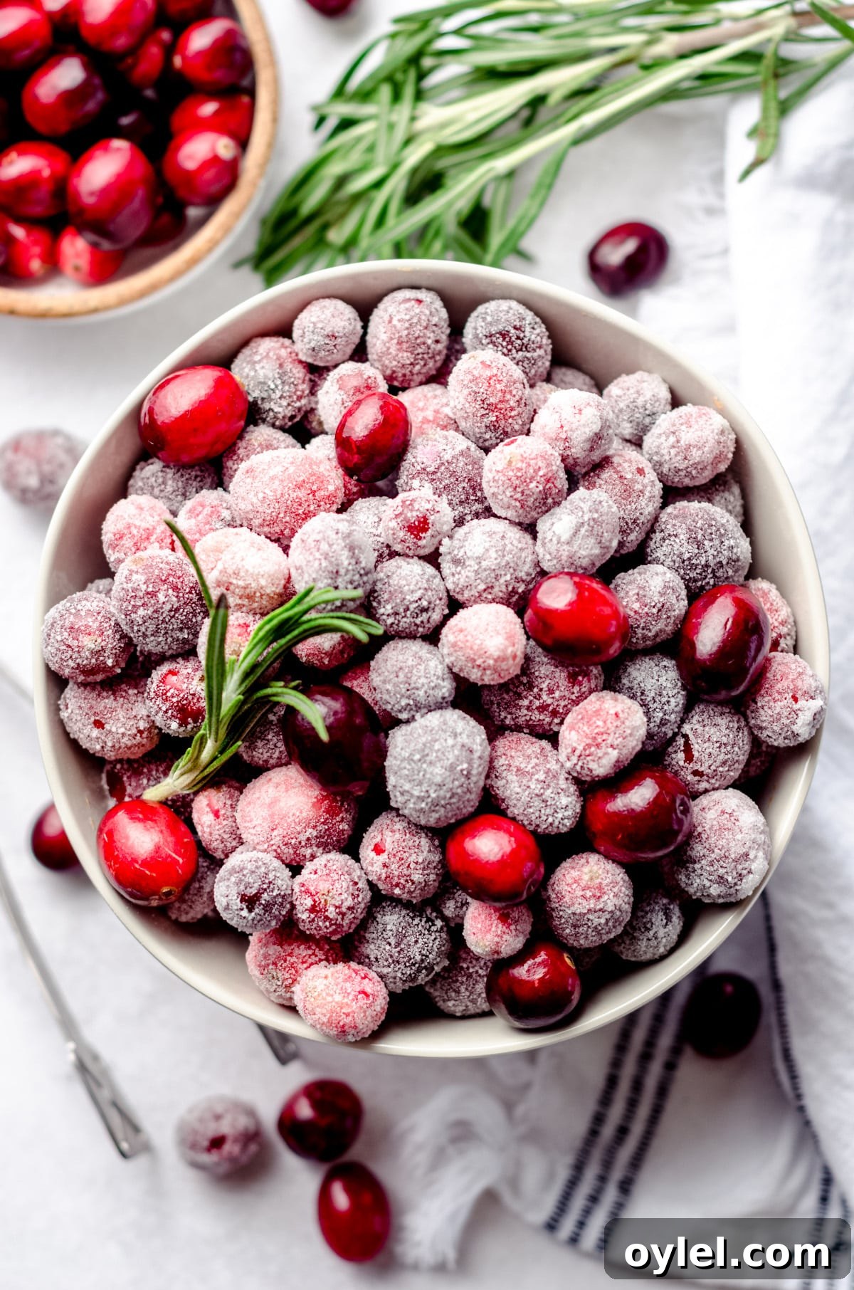 Silky Cranberry Curd Tart Recipe with Buttery Crust 5 aerial photo of a bowl of sugared cranberries with rosemary sprigs