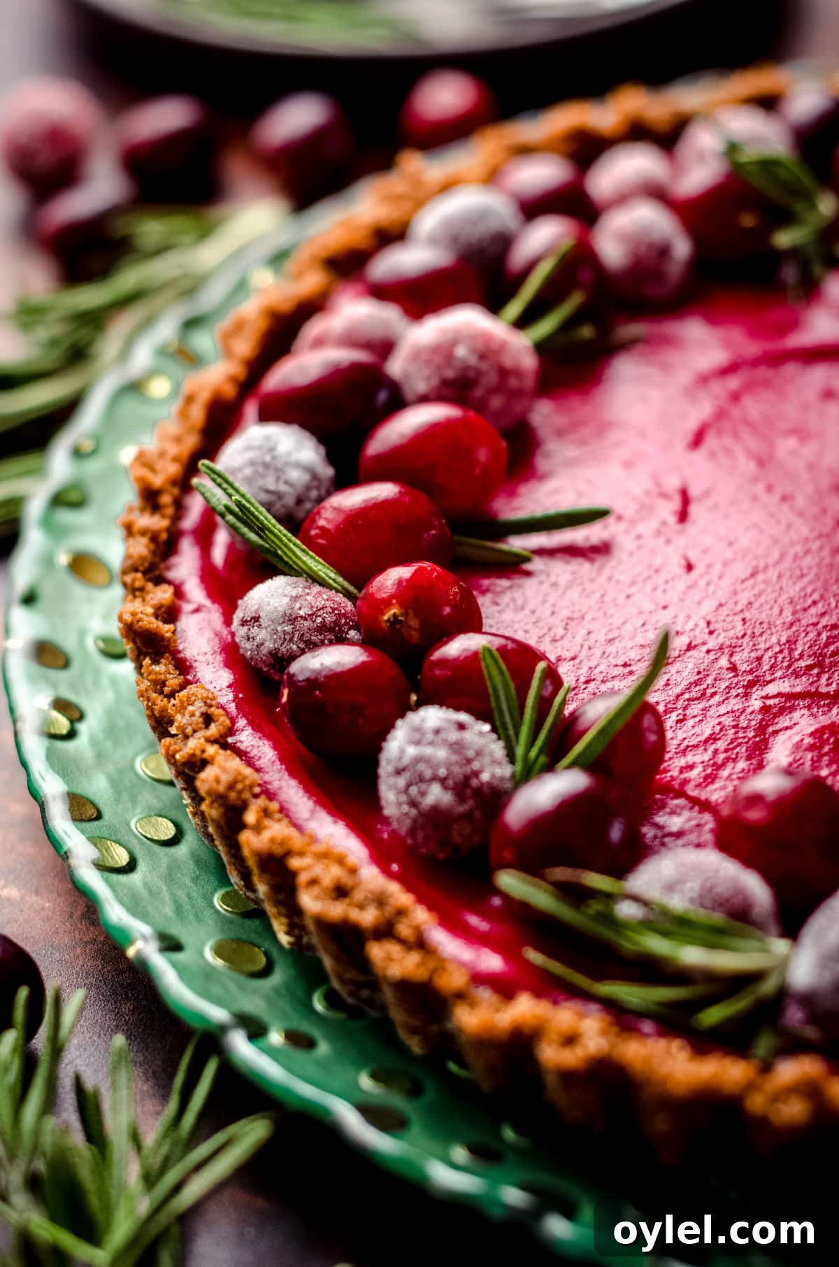 Silky Cranberry Curd Tart Recipe with Buttery Crust 7 A close up of a cranberry tart garnished with rosemary and sugared cranberries.