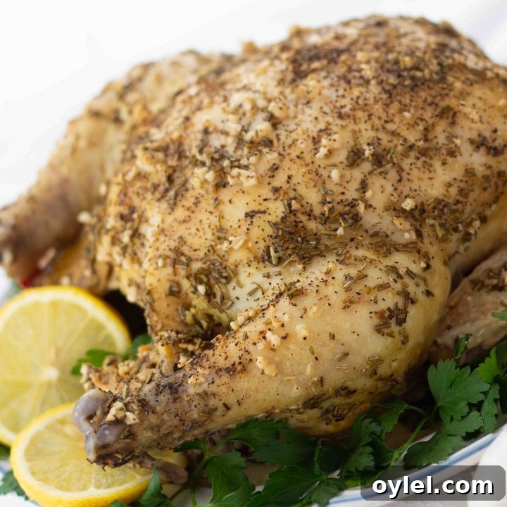 Whole roasted chicken with rosemary and lemon slices garnishing the plate.