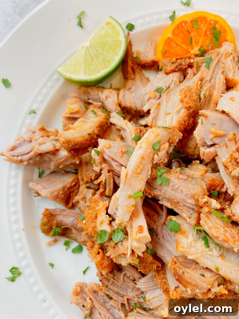 Pulled pork carnitas with a lime wedge.