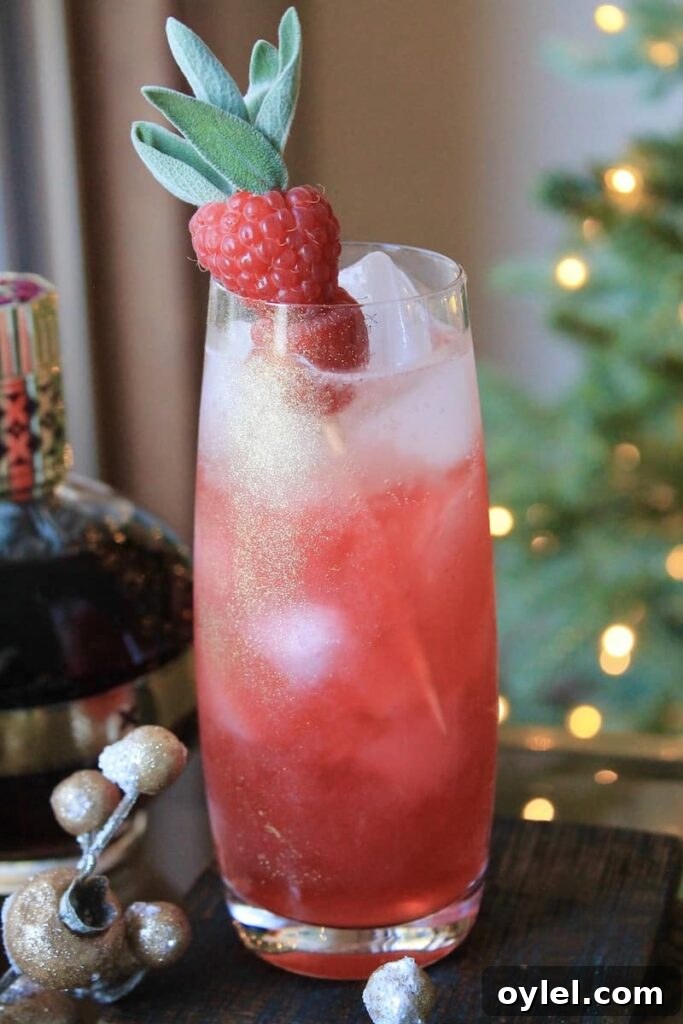 festive raspberry sage cocktail with gin and chambord
