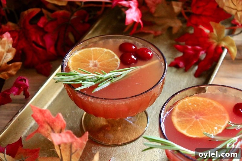 cranberry honeycrisp apple thanksgiving bourbon cocktail