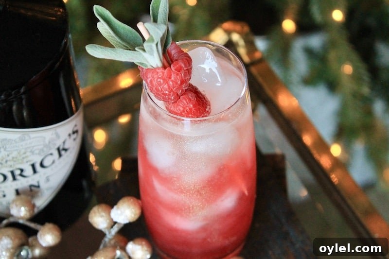 simple raspberry champagne thanksgiving cocktail with gin