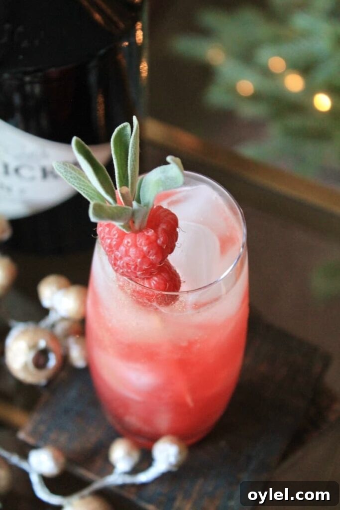 festive thanksgiving gin cocktail