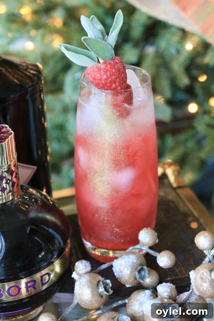 splash in simple syrup lime juice gin and chambord