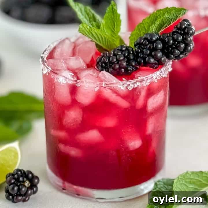 Blackberry Margarita with sugared rim.