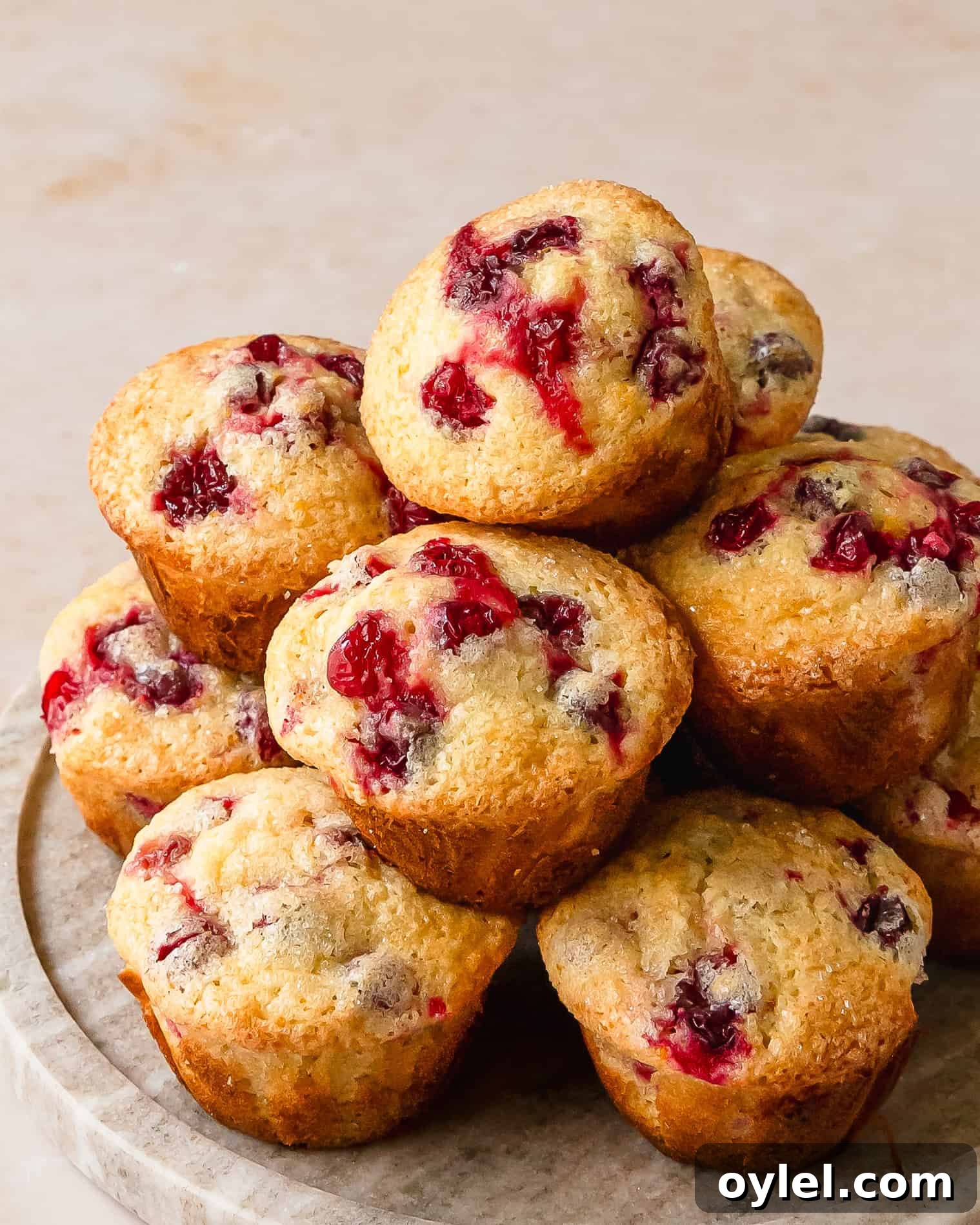 Cranberry Orange Muffins with Citrus Glaze 2 Cranberry orange muffins are moist and fluffy bakery style orange muffins filled with fresh or frozen cranberries with tons of fresh orange flavor. These quick, easy and flavorful orange cranberry muffins are the perfect addition to any festive breakfast.