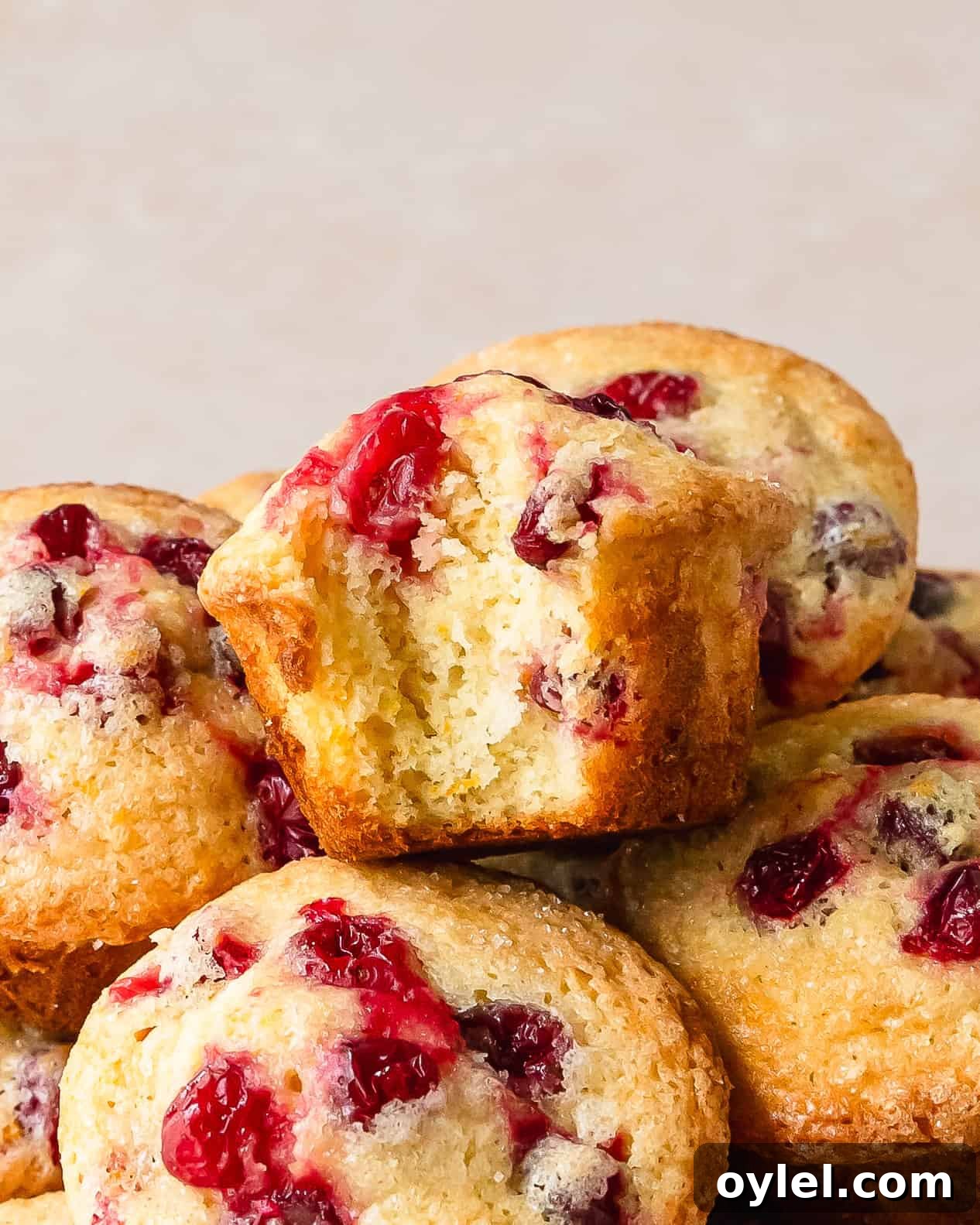 Cranberry Orange Muffins with Citrus Glaze 4 Cranberry orange muffins are moist and fluffy bakery style orange muffins filled with fresh or frozen cranberries with tons of fresh orange flavor. These quick, easy and flavorful orange cranberry muffins are the perfect addition to any festive breakfast.