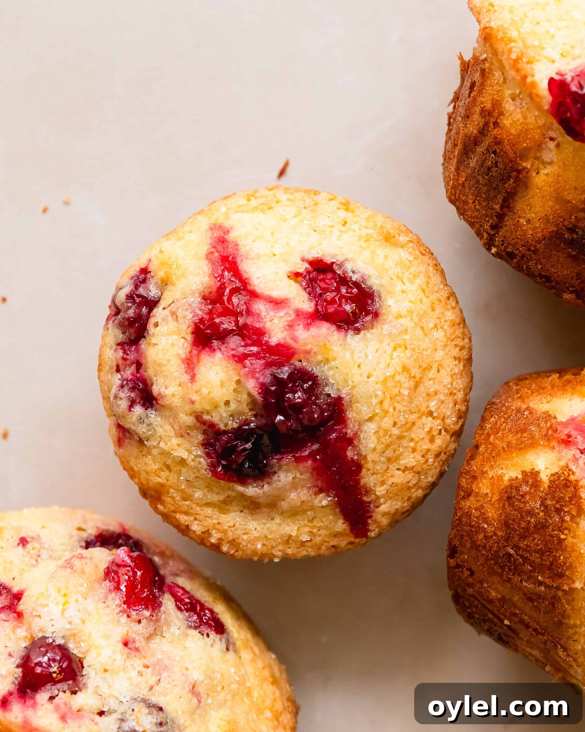 Cranberry Orange Muffins with Citrus Glaze 7 Cranberry orange muffins are moist and fluffy bakery style orange muffins filled with fresh or frozen cranberries with tons of fresh orange flavor. These quick, easy and flavorful orange cranberry muffins are the perfect addition to any festive breakfast.