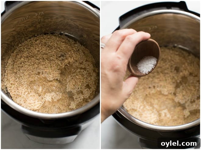 An instant pot filled with brown rice and water.