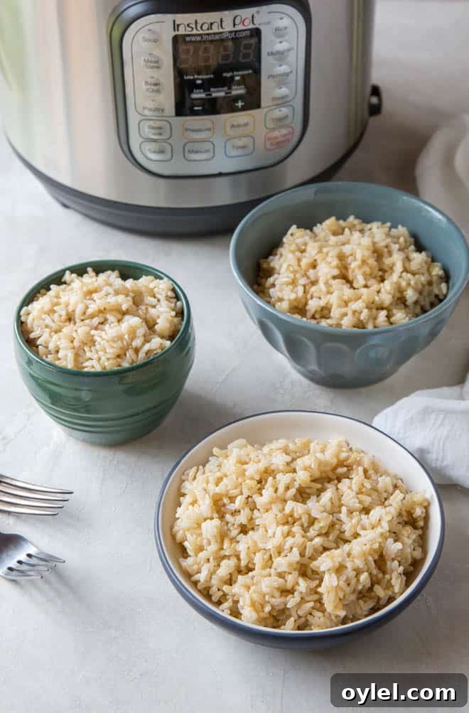 Three bowls filled with brown rice sitting in front of an instant pot.