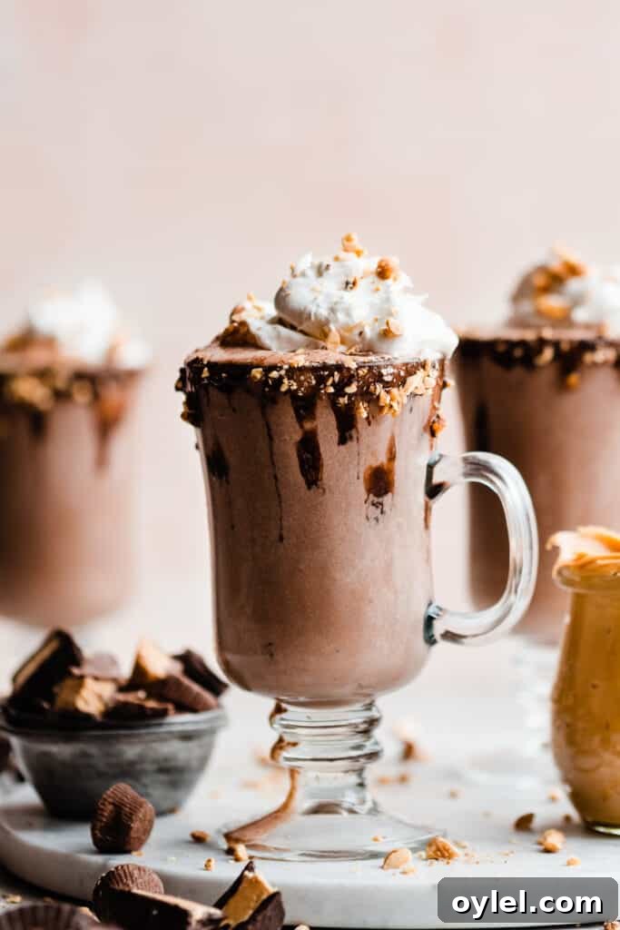 Creamy Homemade Peanut Butter Chocolate Milkshake 6 Milkshakes with chocolate dipped rims and whipped cream on top.