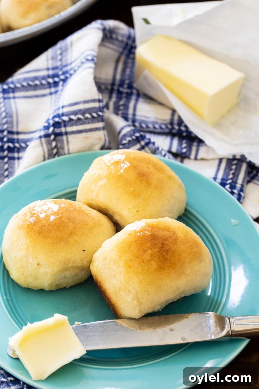 3 Buttery Pan Rolls on a blue plate