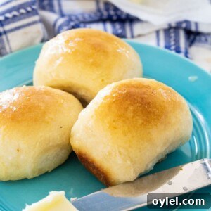 3 Buttery Rolls on a blue plate.