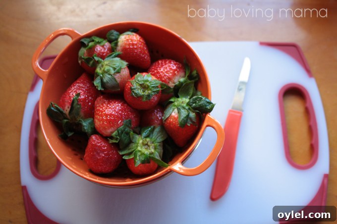 ChocStrawberries_5