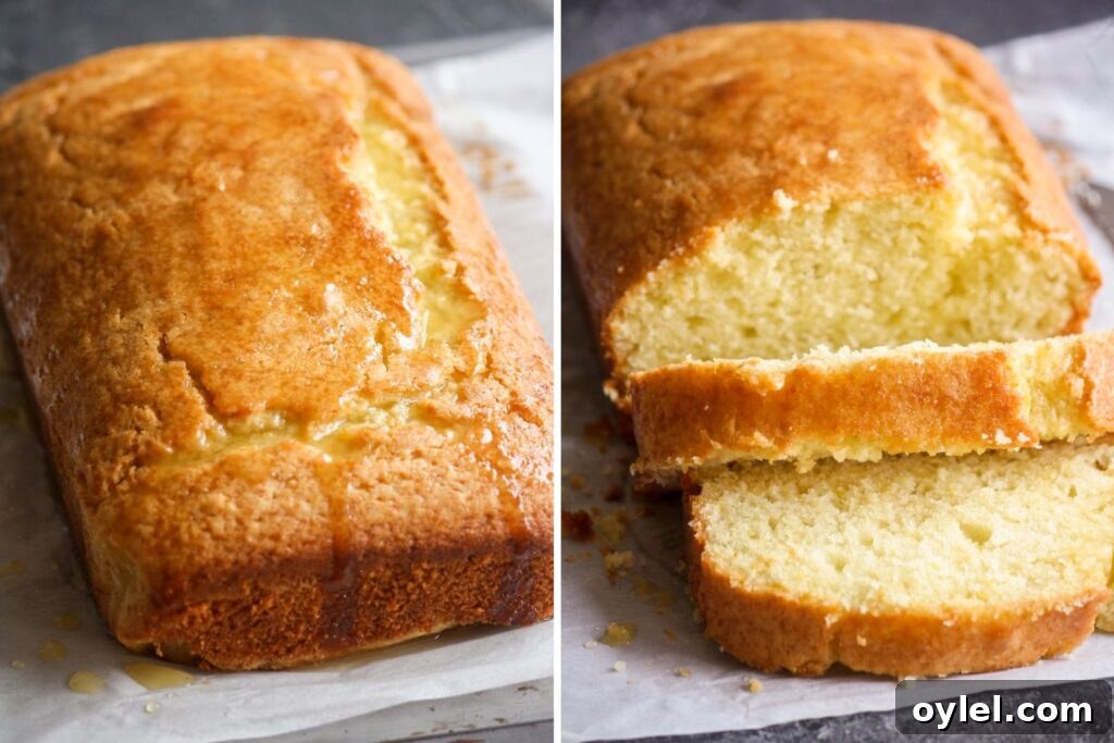 Soft and moist olive oil cake with orange zest and orange glaze