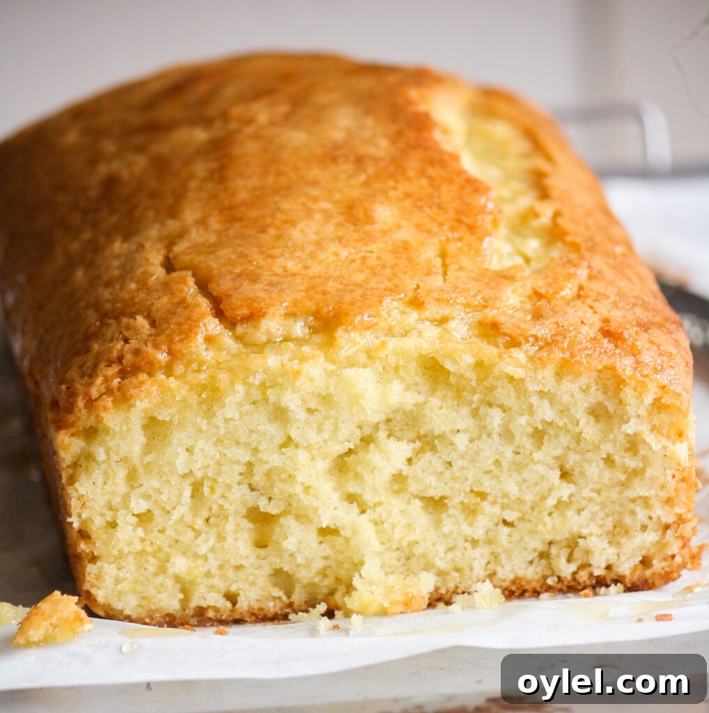 Soft and moist olive oil cake with orange zest and orange glaze