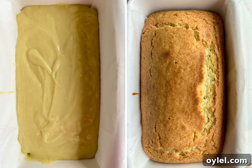 Soft and moist olive oil cake with orange zest and orange glaze