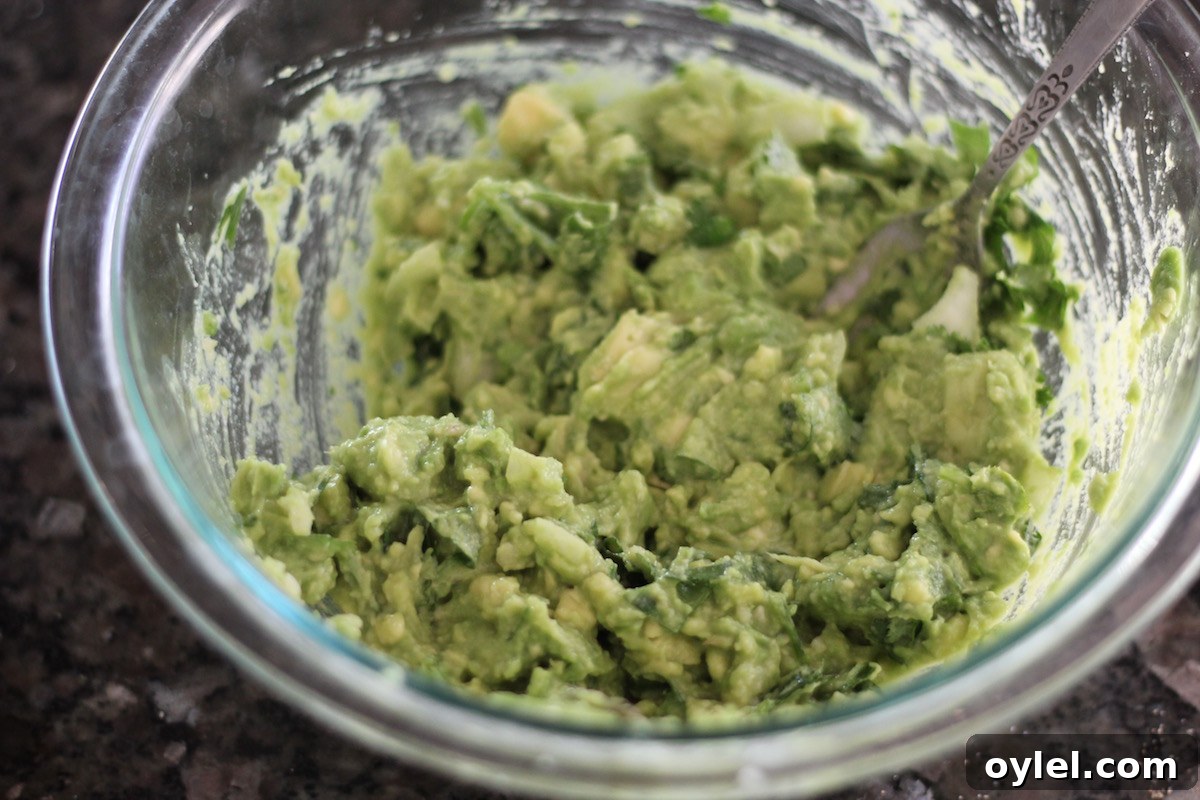 AIP Pomegranate Guacamole - creamy guacamole is kicked up with the addition of tart pomegranate seeds and sweet orange juice! This appetizer is the one to make for holiday parties! | fedandfulfilled.com