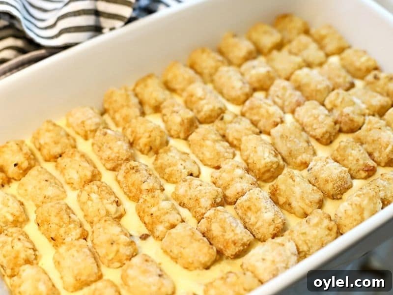 Weeknight Cheeseburger Tater Tot Casserole 6 frozen tater tot on top of a casserole