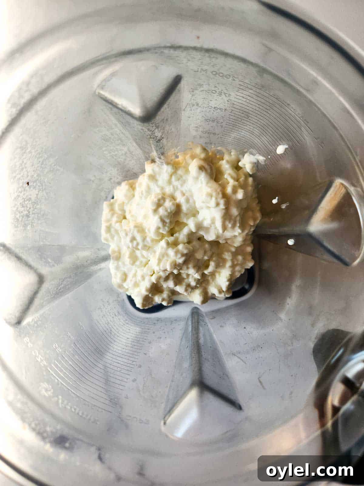 Plain cottage cheese in a blender.
