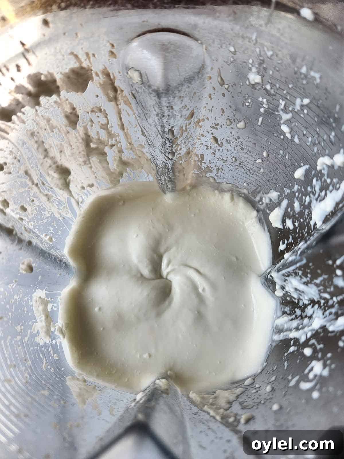 Cottage cheese in a blended that has been whipped.