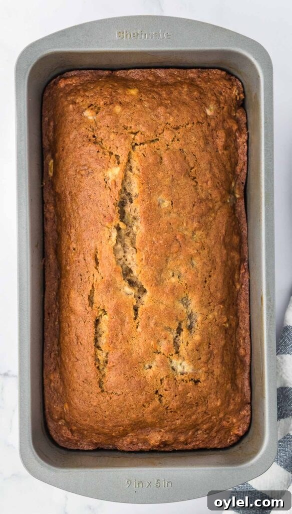 Classic Moist Homemade Banana Bread Recipe 12 banana bread in a pan