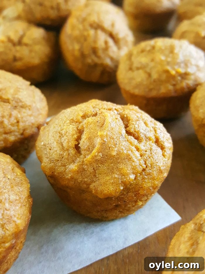 Mini Healthy Pumpkin Muffins for Kids - Moist, dairy-free mini pumpkin muffins