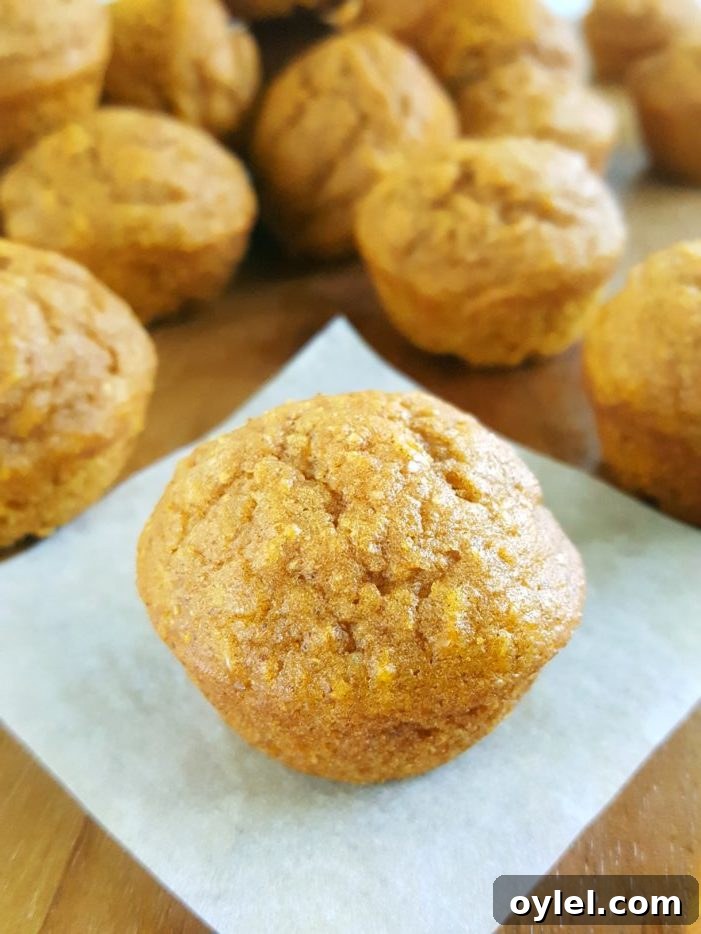Mini Healthy Pumpkin Muffins for Kids - moist and dairy-free