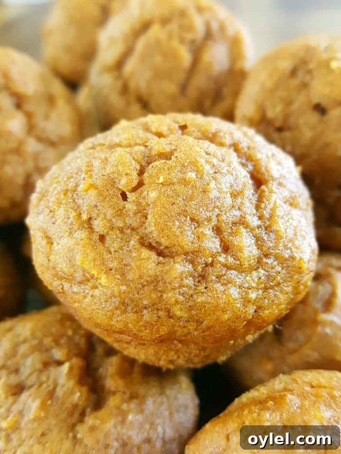 Mini Healthy Pumpkin Muffins for Kids - soft and moist