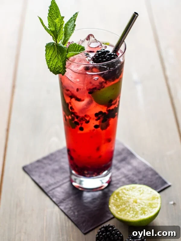 Blackberry Bourbon Smash Cocktail Recipe 10 Blackberry Mojito