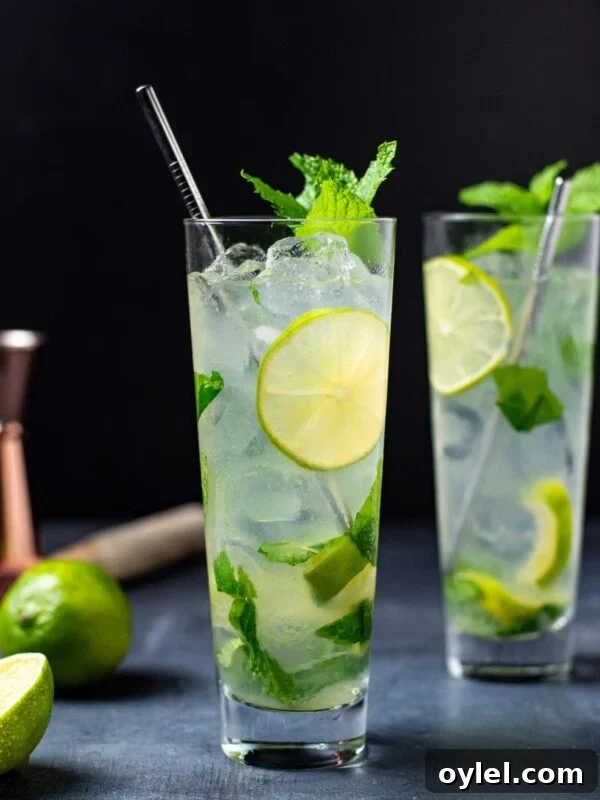 Blackberry Bourbon Smash Cocktail Recipe 11 Classic Mojito