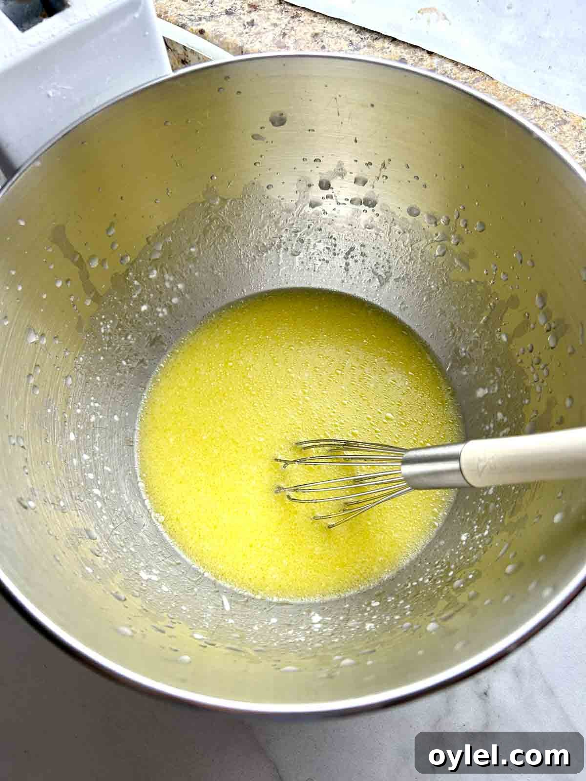 wet mixture in stand mixer bowl.