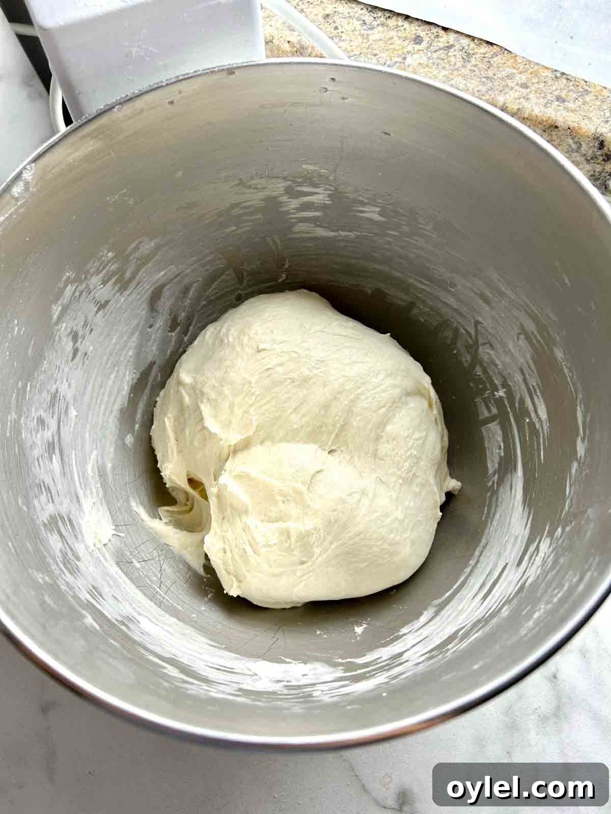 dough kneaded in stand mixer.