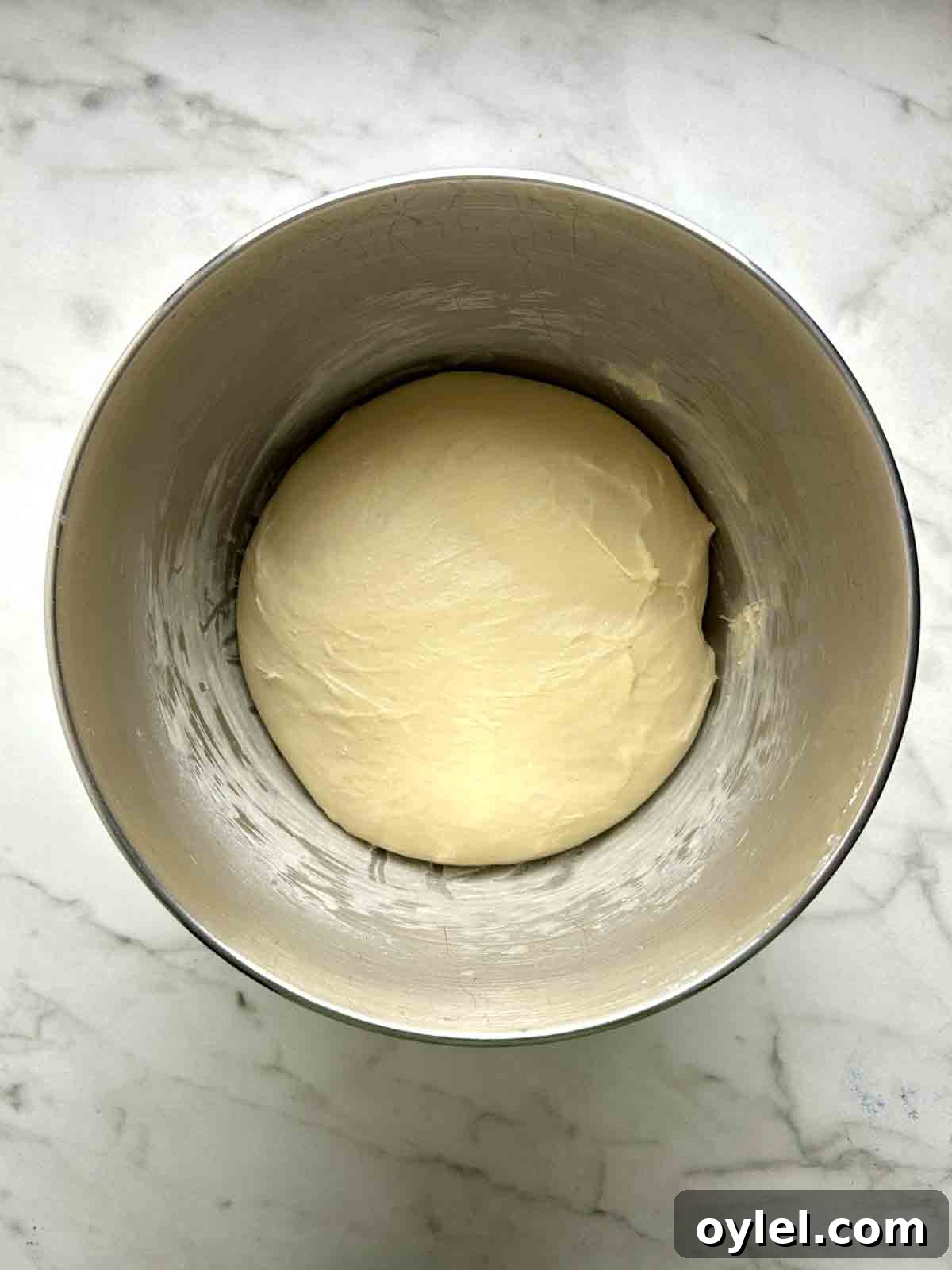 dough after the first rise.