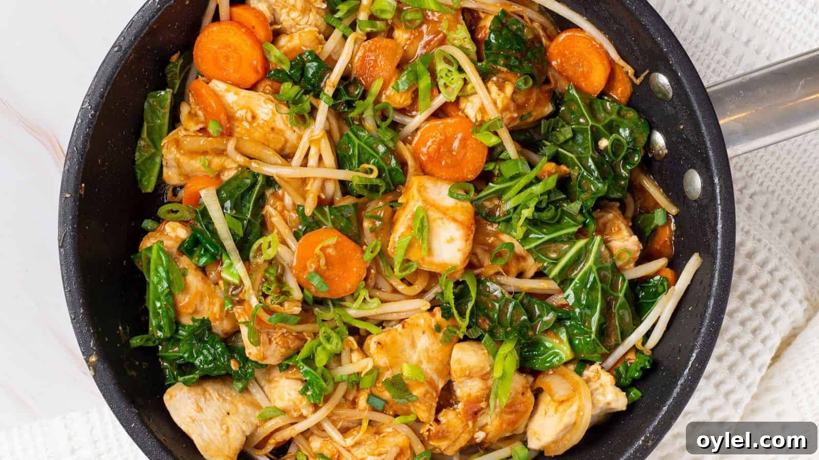 13 Asian Recipes You Won't Believe Are This Simple 7 Stir-fried chicken chop suey in a skillet.