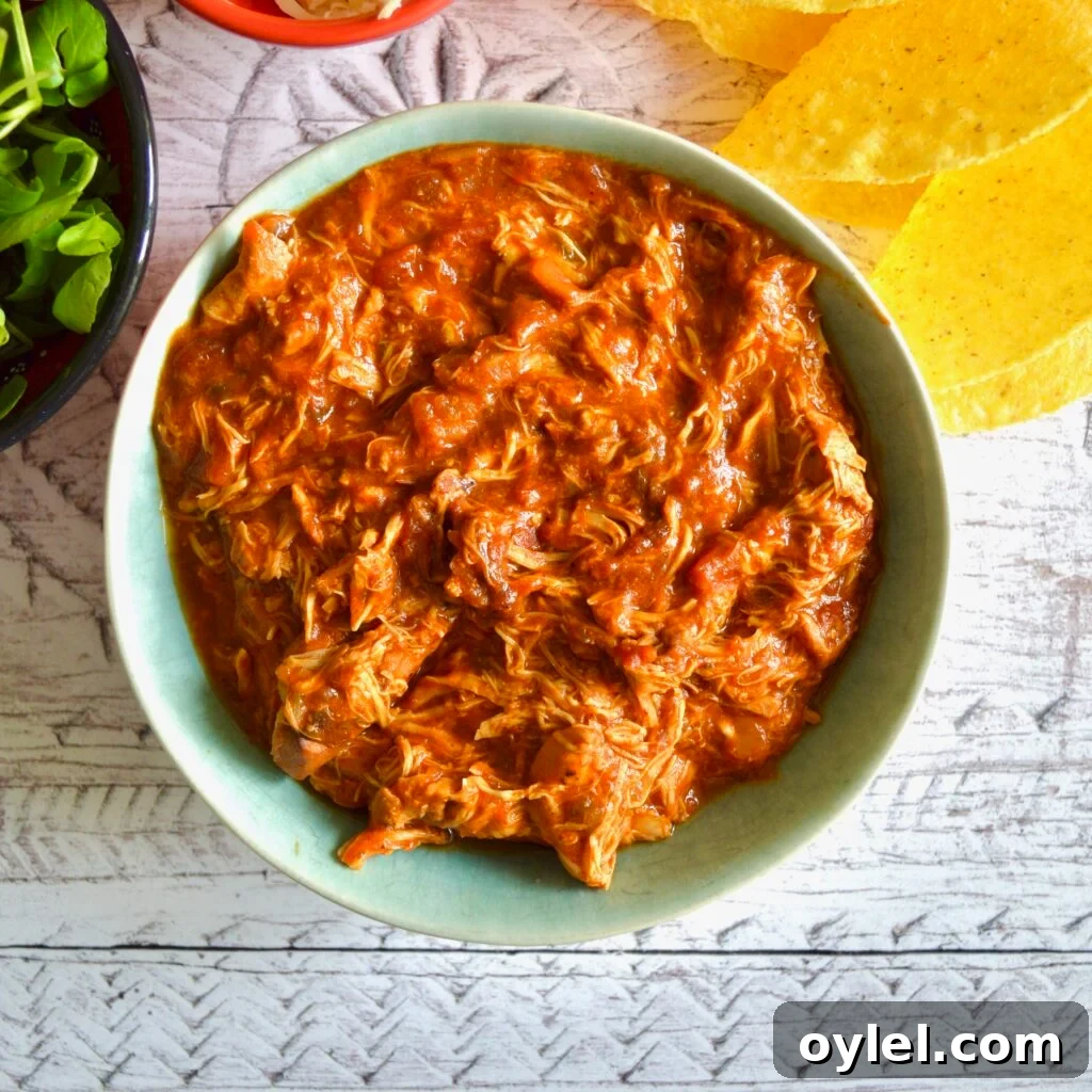 10 Gluten- and Dairy-Free Slow Cooker Recipes 4 taco chicken