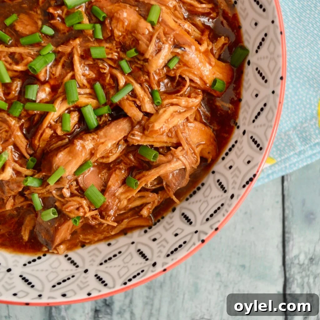 10 Gluten- and Dairy-Free Slow Cooker Recipes 8 honey chilli chicken