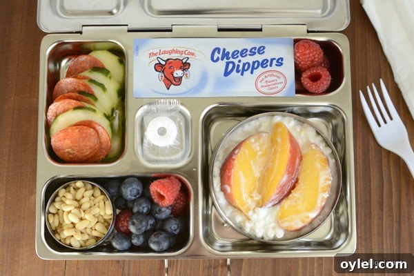 School Lunch Packing Guide for Busy Parents 4 cheese dippers for school lunch | NoBiggie.net